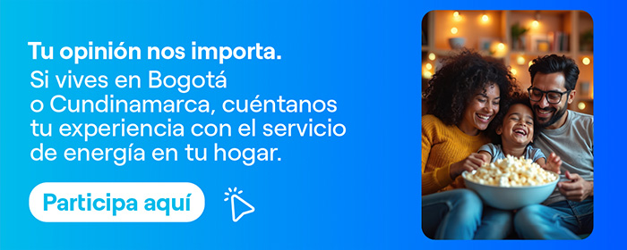 Enel Colombia